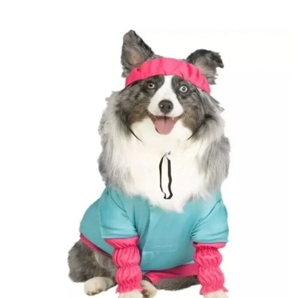 Barbie dog costume medium